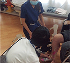 装具剪定の様子