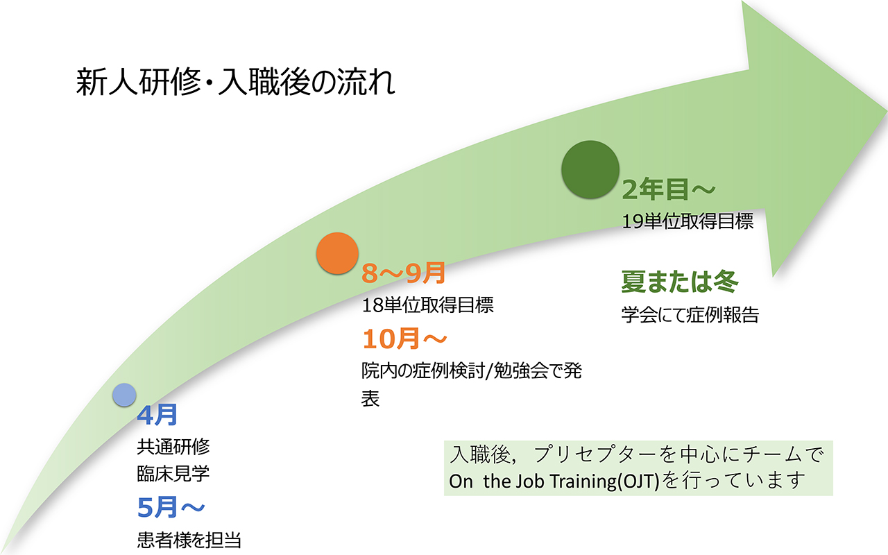新人研修・入職後の流れ