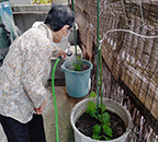 利用者様宅でリハビリ